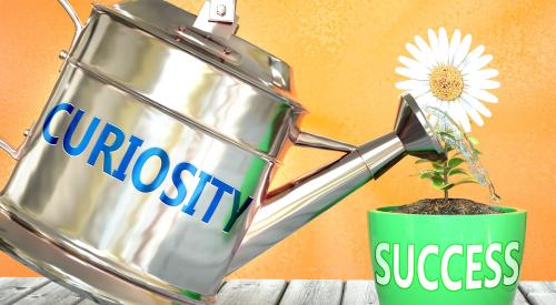 Curiosity watering can and success flower pot